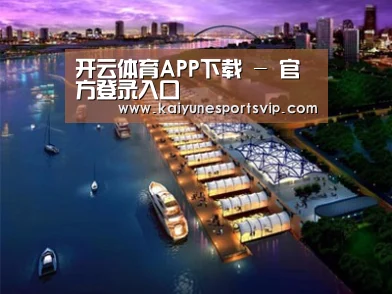 案例展示八