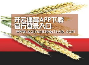开云体育APP下载 - 官方登录入口
