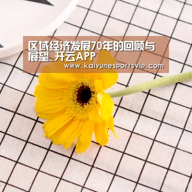 区域经济发展70年的回顾与展望_开云APP(图3) 开云下载