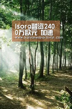 开云入口