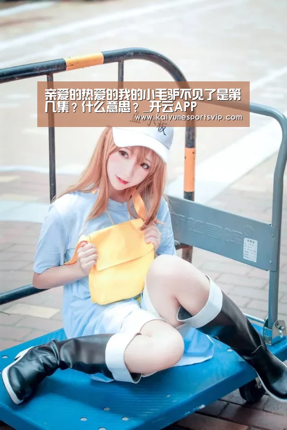 开云APP