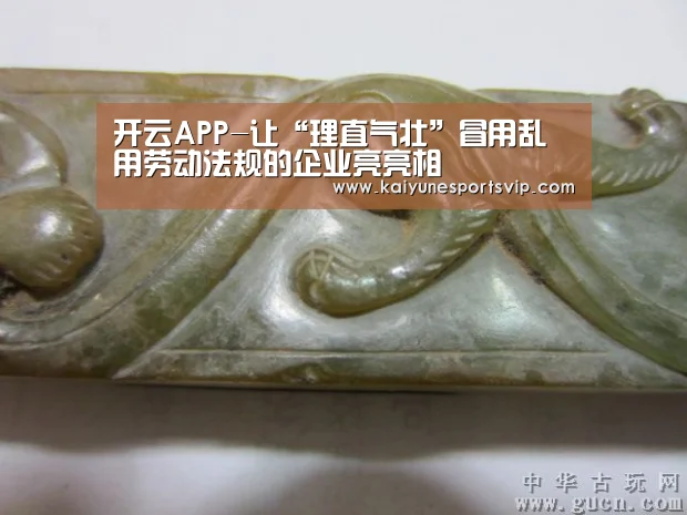 开云APP-让“理直气壮”冒用乱用劳动法规的企业亮亮相(图2) 开云入口