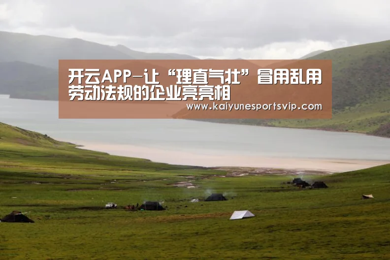 开云APP-让“理直气壮”冒用乱用劳动法规的企业亮亮相(图3) 开云入口