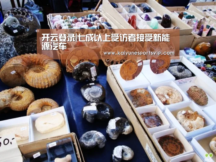 开云下载