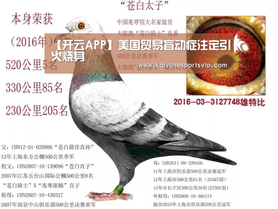 开云APP