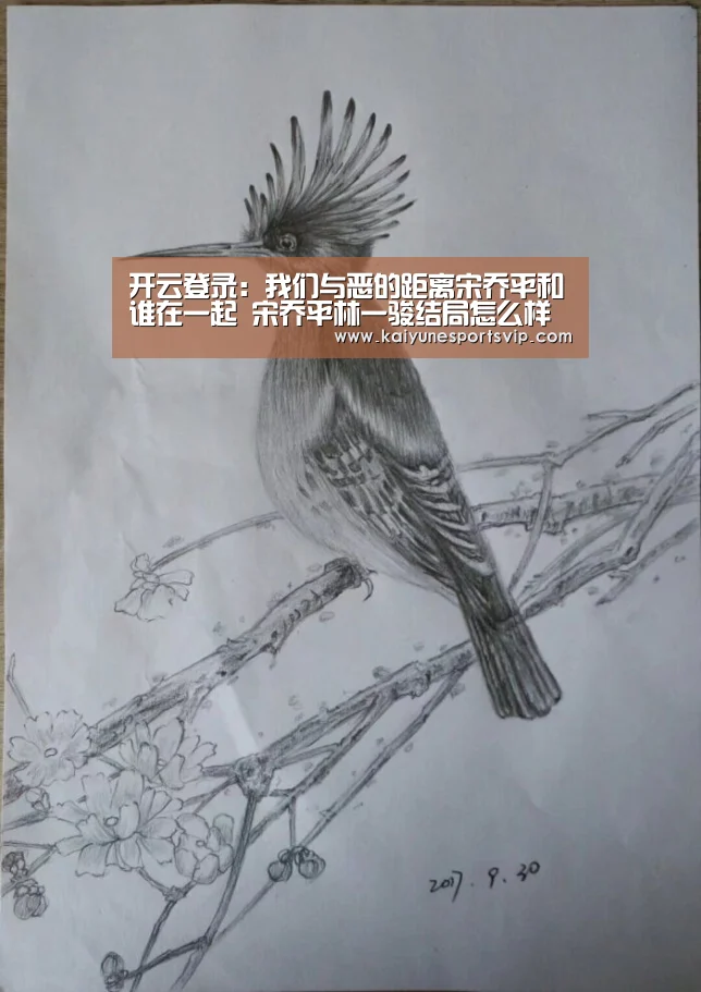 开云登录
