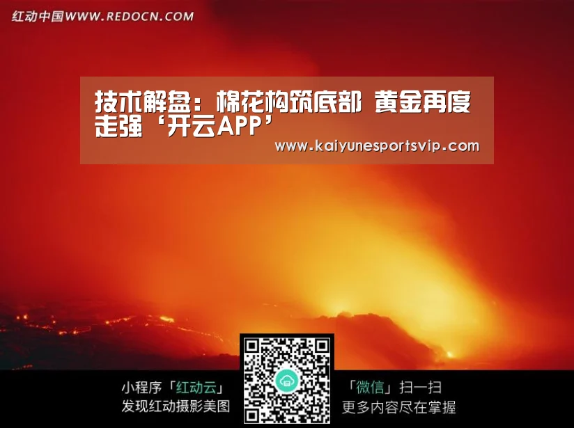 开云登录