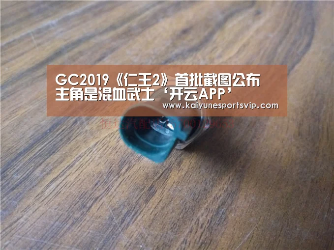GC2019《仁王2》首批截图公布 主角是混血武士‘开云APP’(图1) 开云下载
