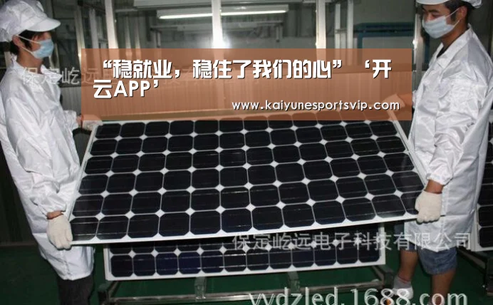 “稳就业,稳住了我们的心”‘开云APP’(图4) 开云APP